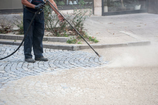 Best Roof Washing  in West Park, CA